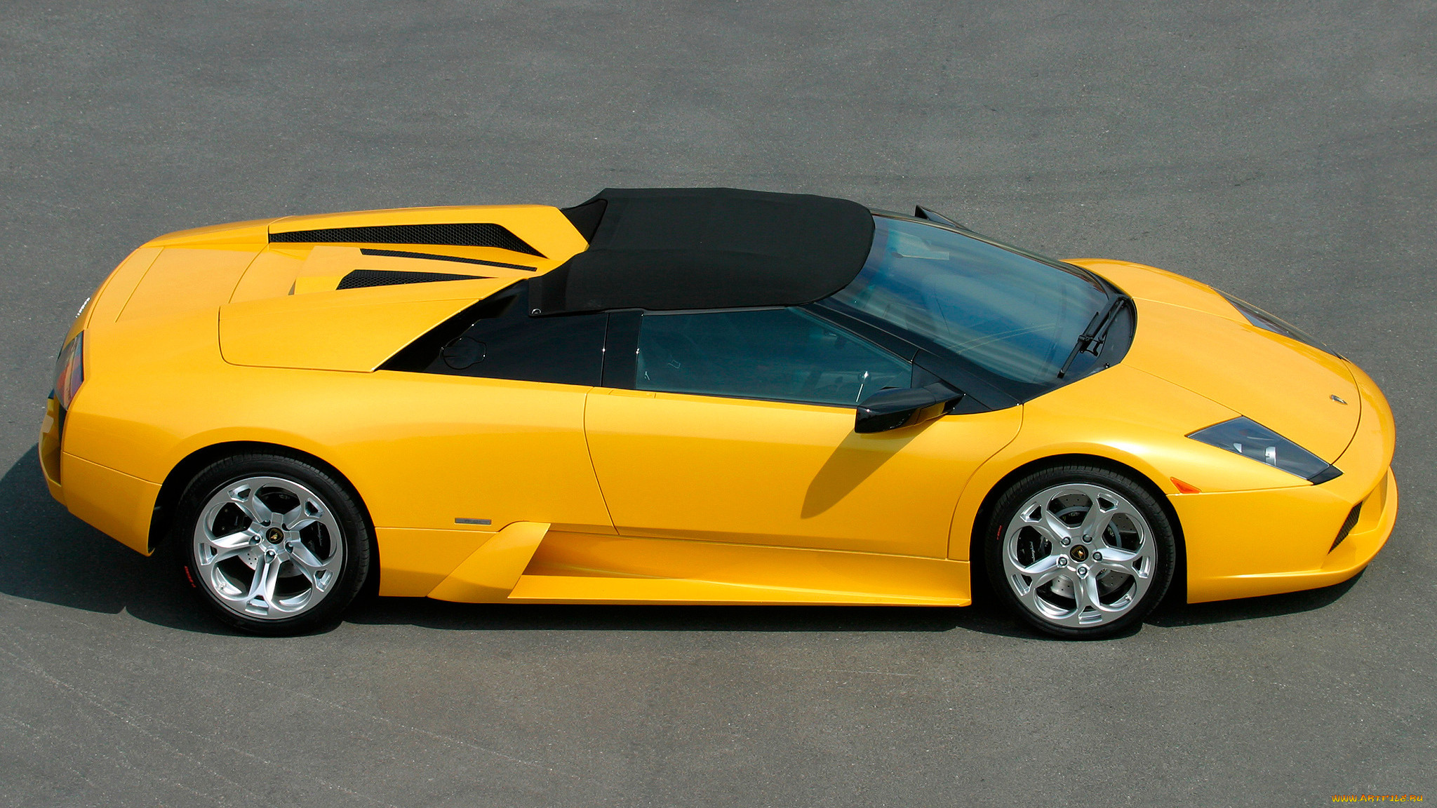 lamborghini, murcielago, , -, , automobili, holding, s, p, a, 